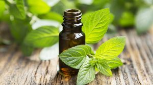 Peppermint-essential-oil