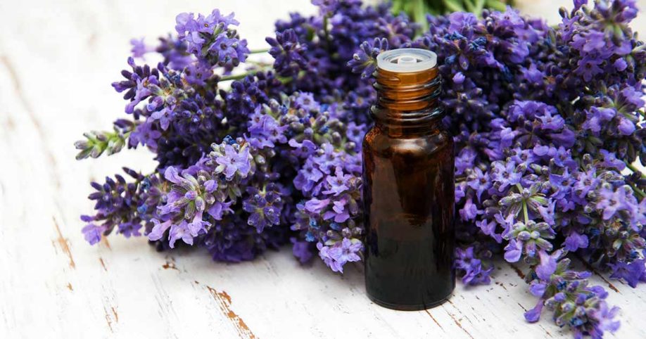 Lavender Oil