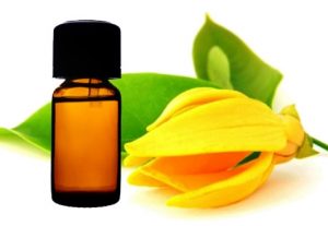 ylang-ylang-oil